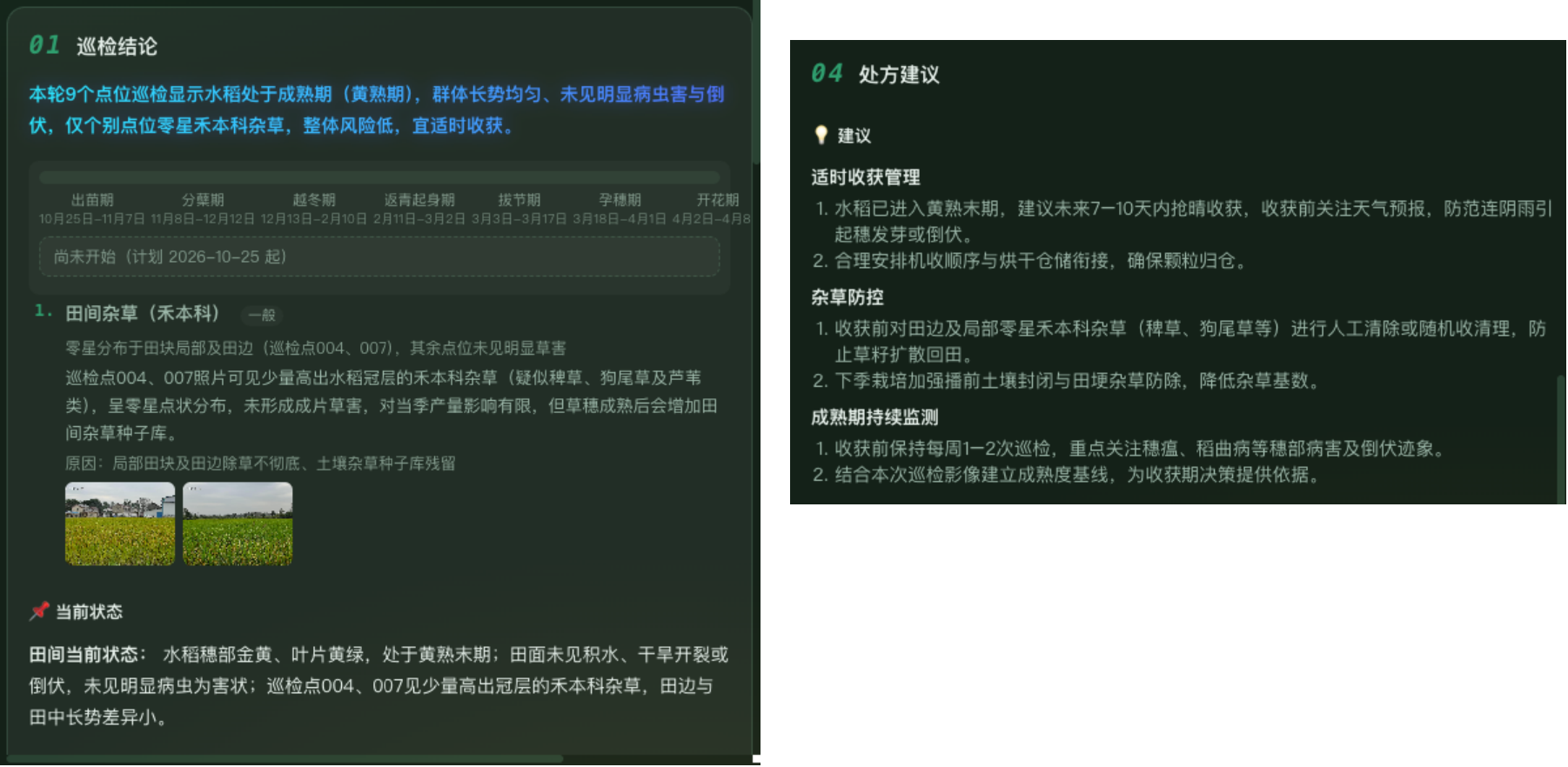 巡检报告实际页面,包含巡检结论、田间问题及影像、当前状态和处方建议